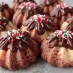 chocolate viennese butter cookies - featured image