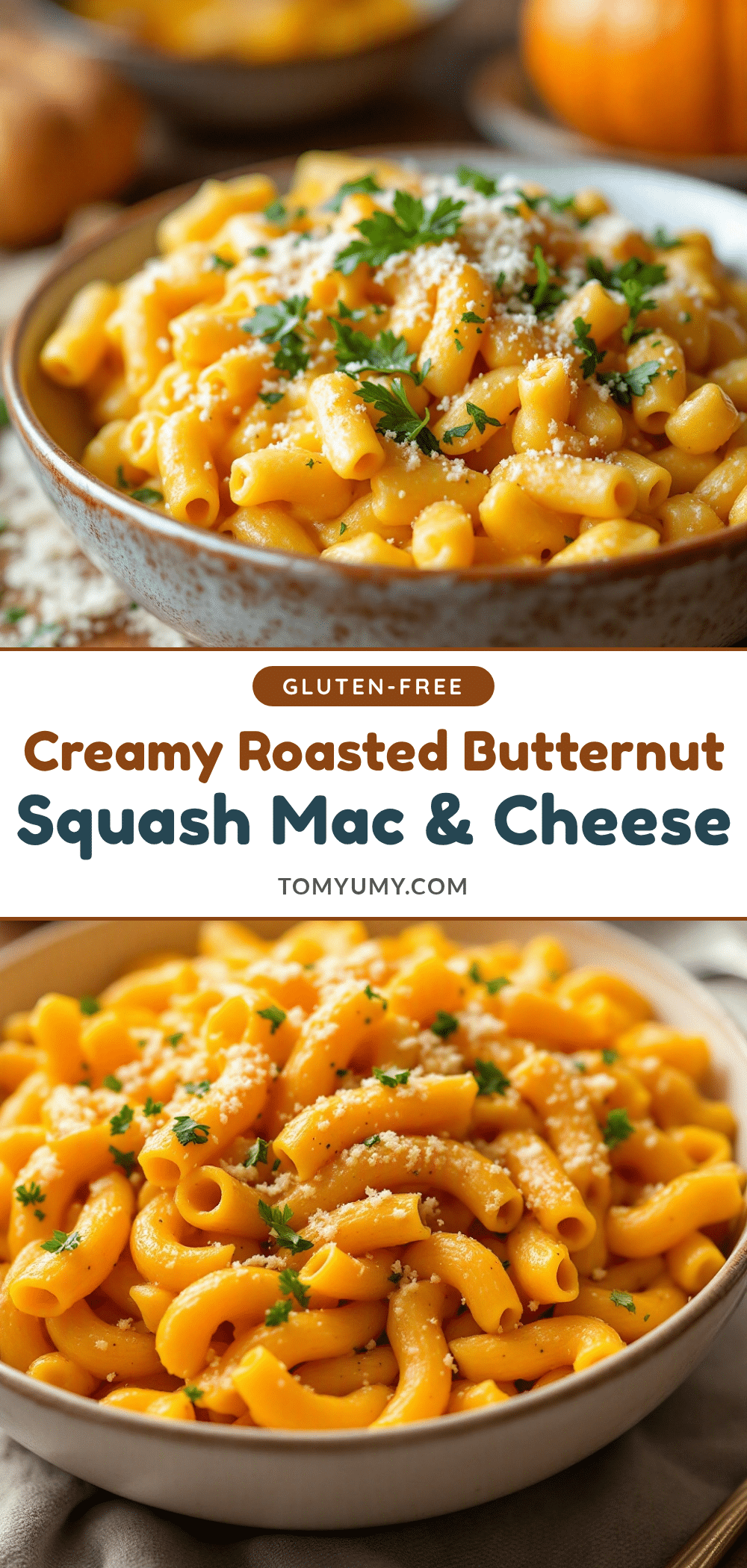 creamy roasted butternut squash mac & cheese bake recipe