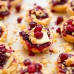 Crispy Cranberry Brie Bites - featured image