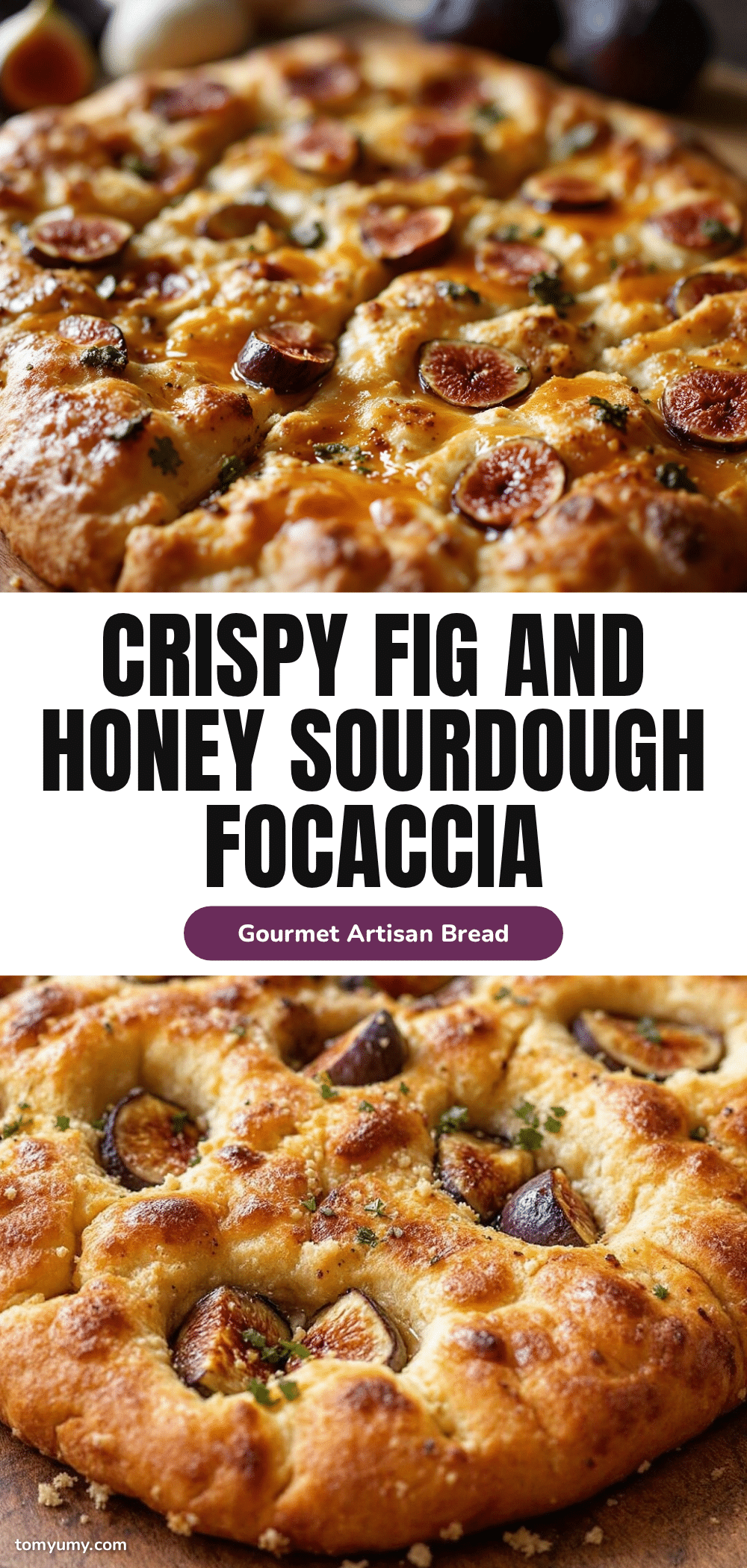 crispy fig and honey sourdough focaccia recipe