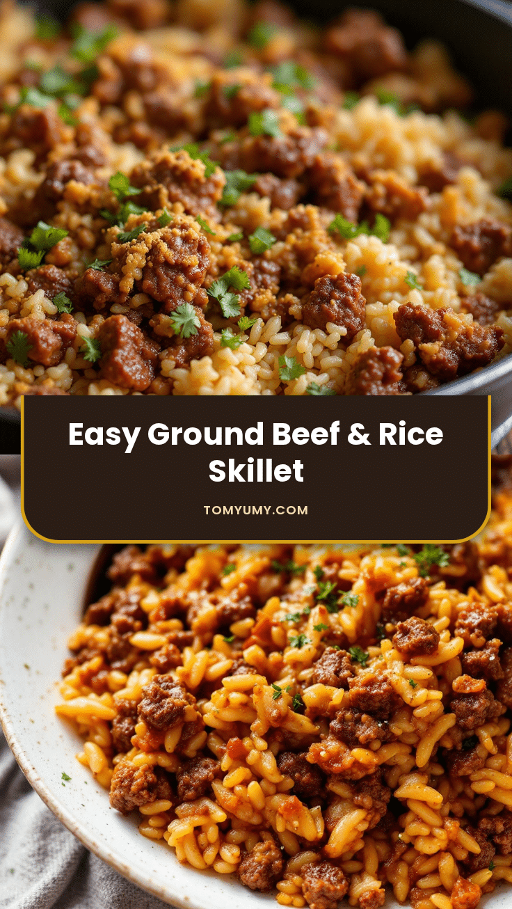 easy ground beef and rice skillet recipe