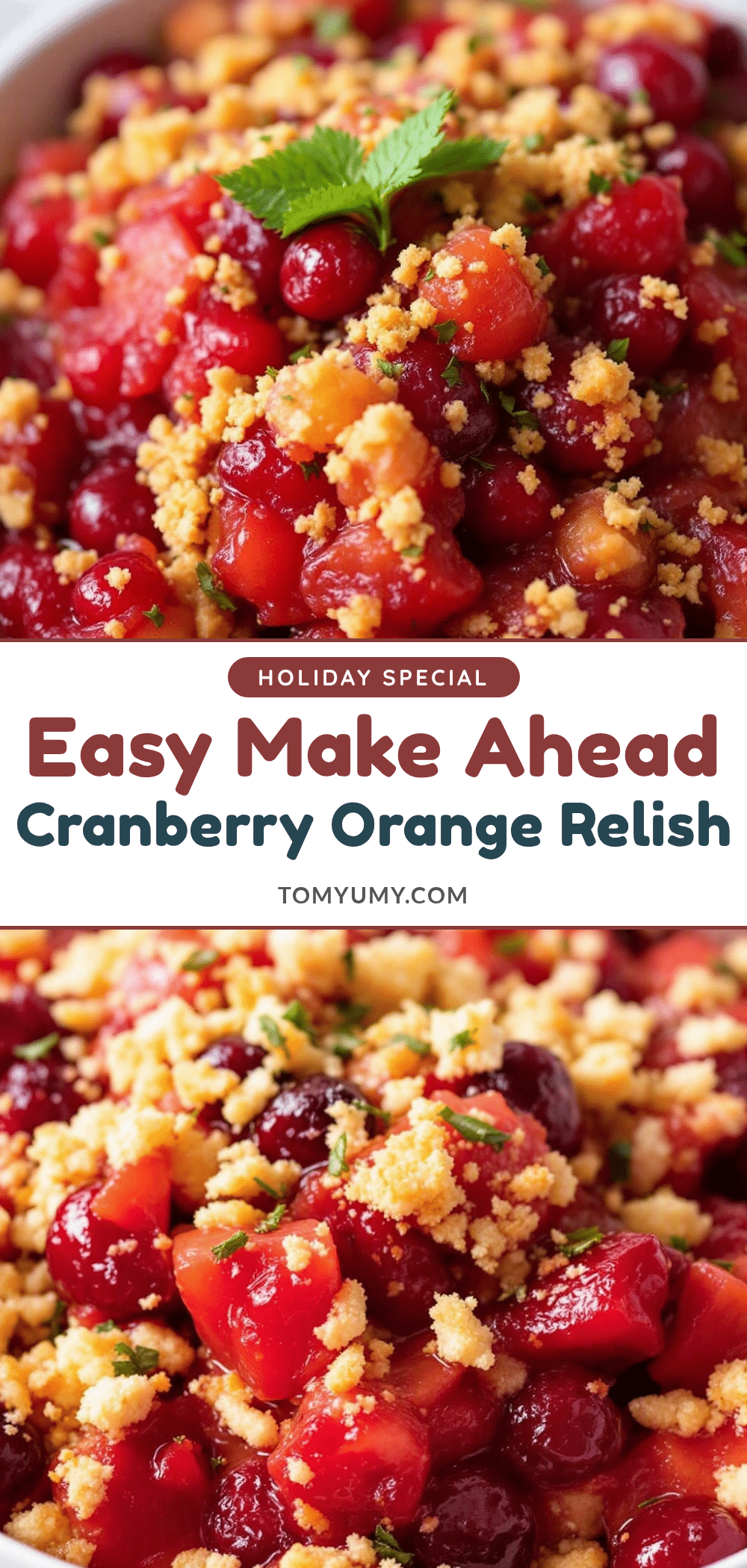 Easy Make-Ahead Cranberry Orange Relish recipe