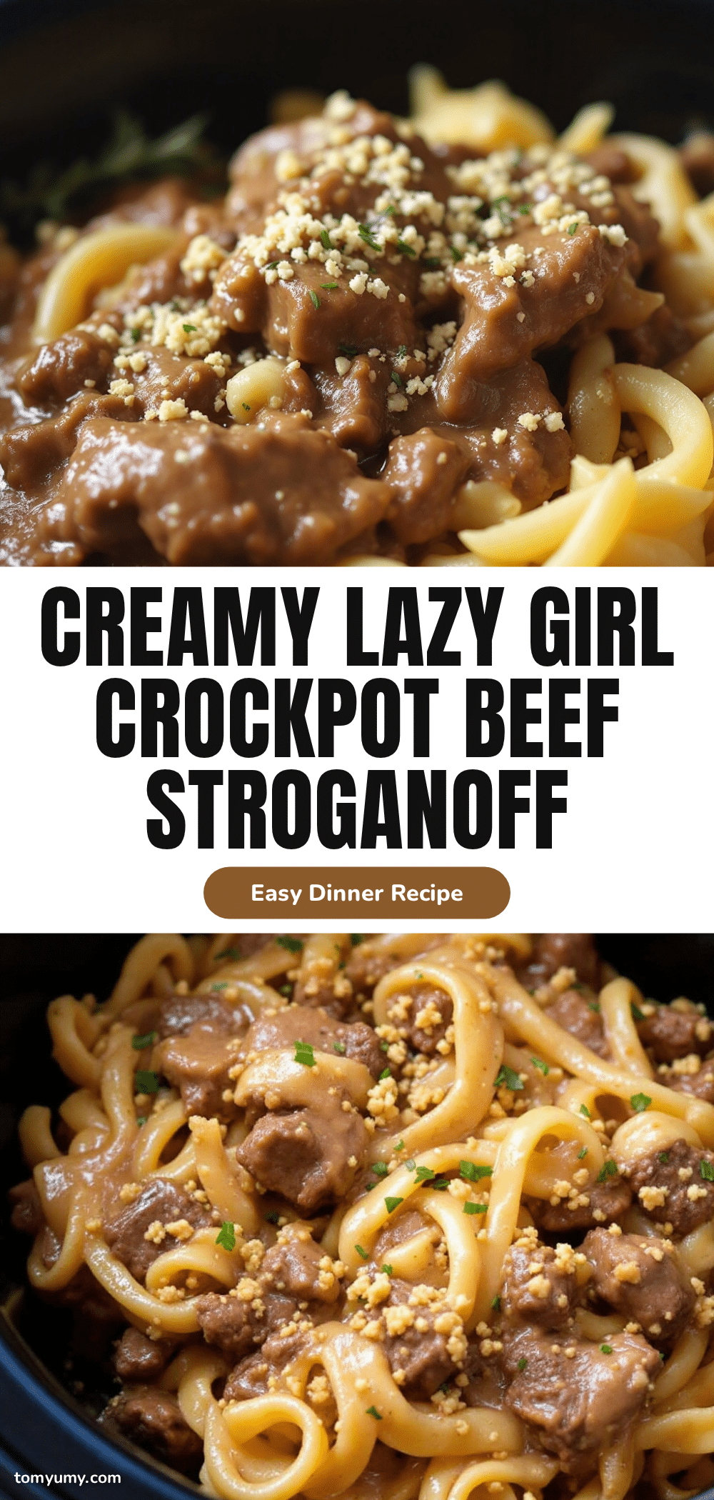 lazy girl crockpot beef stroganoff recipe