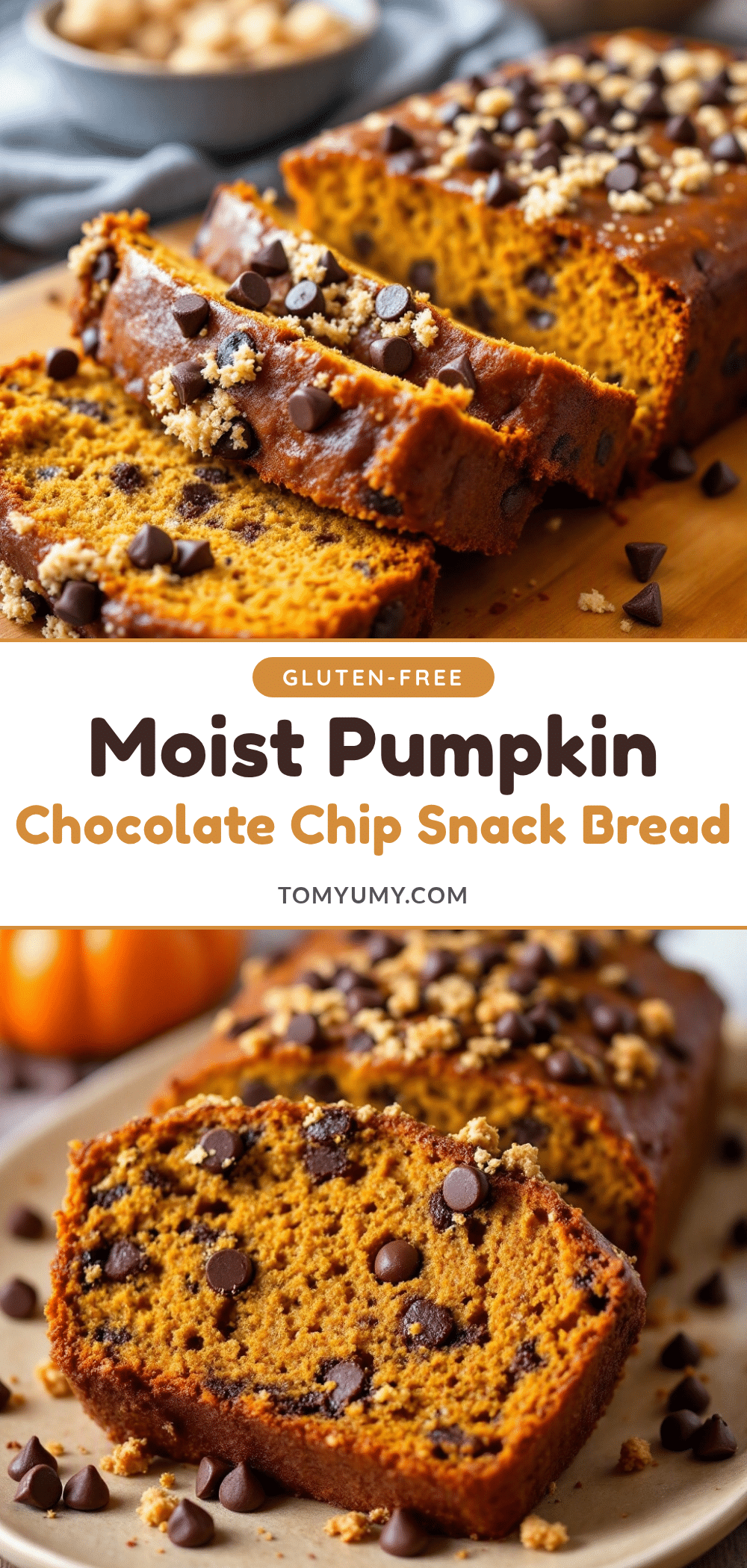 moist pumpkin chocolate chip snack bread recipe