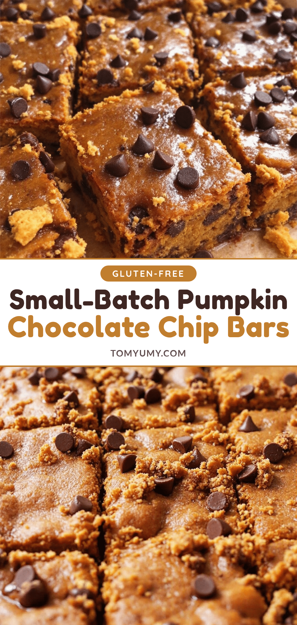 Pumpkin Chocolate Chip Bars recipe