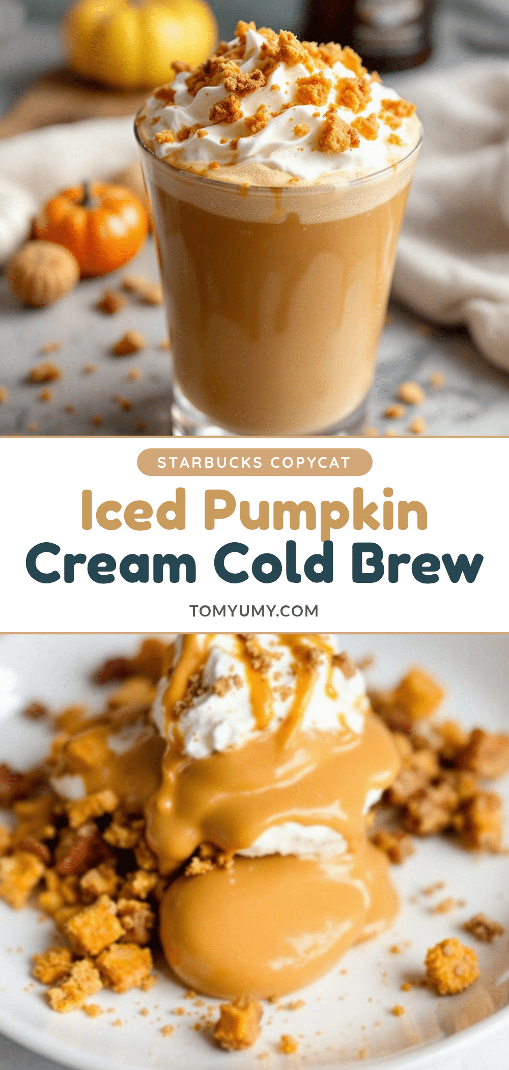 Starbucks Pumpkin Cream Cold Brew recipe