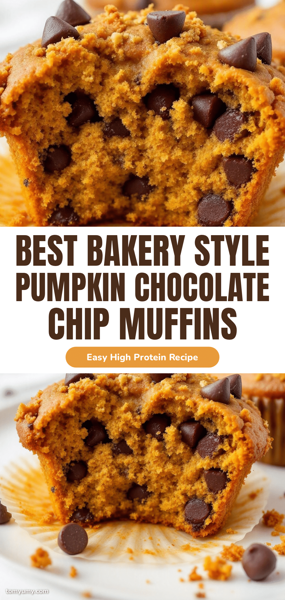 bakery-style pumpkin chocolate chip muffins recipe