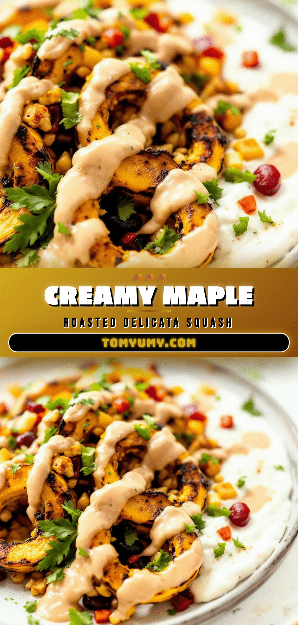 creamy maple tahini roasted delicata squash recipe