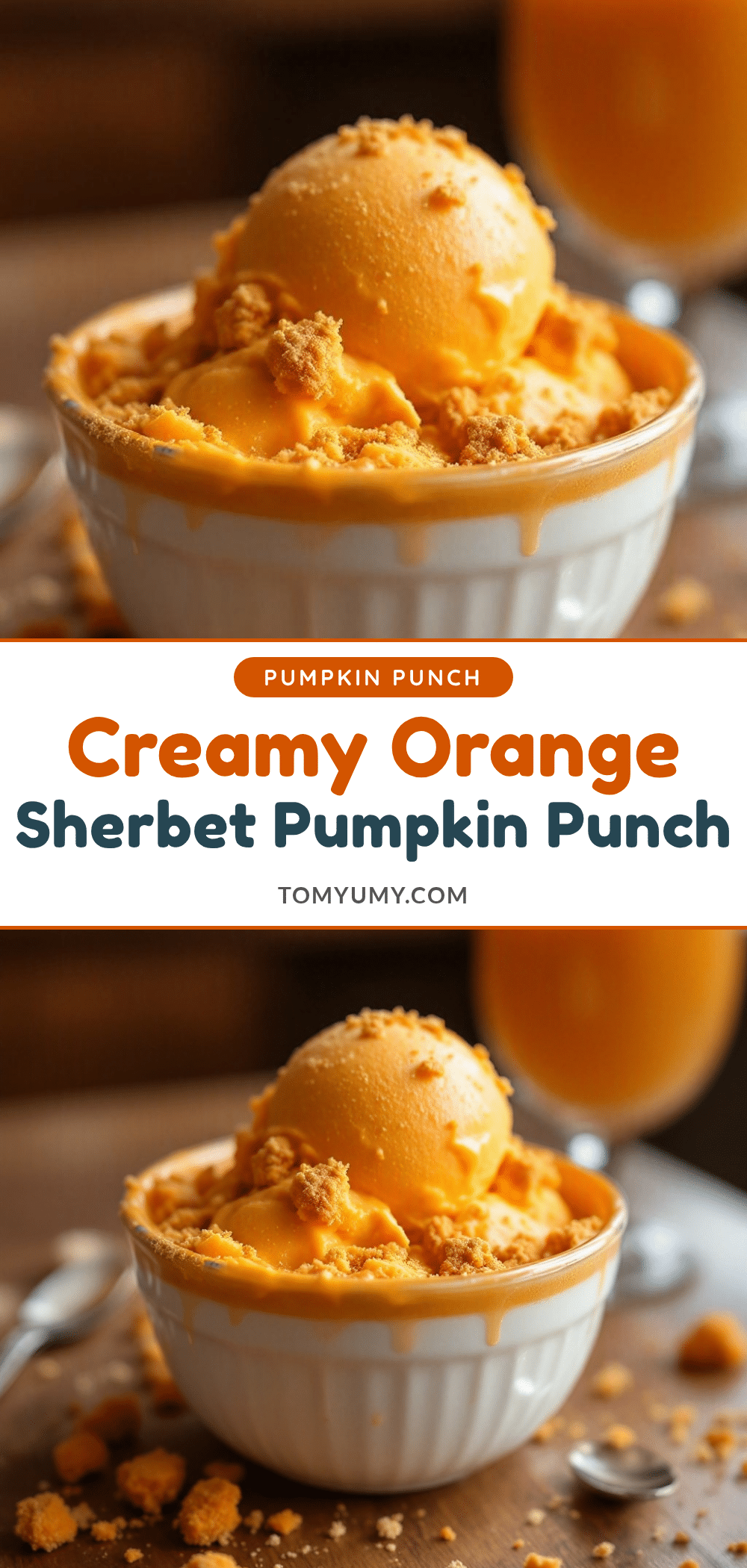 creamy pumpkin patch punch with orange sherbet recipe