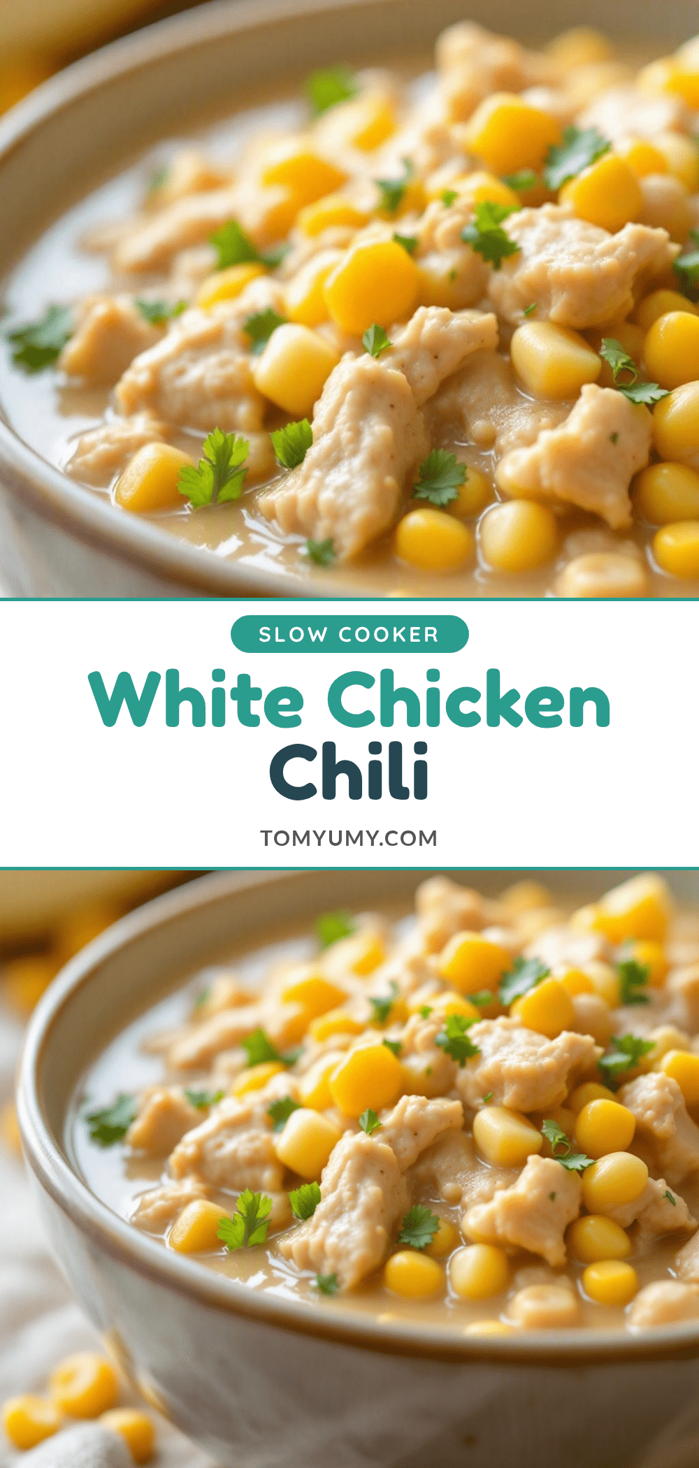 creamy slow cooker white chicken chili recipe