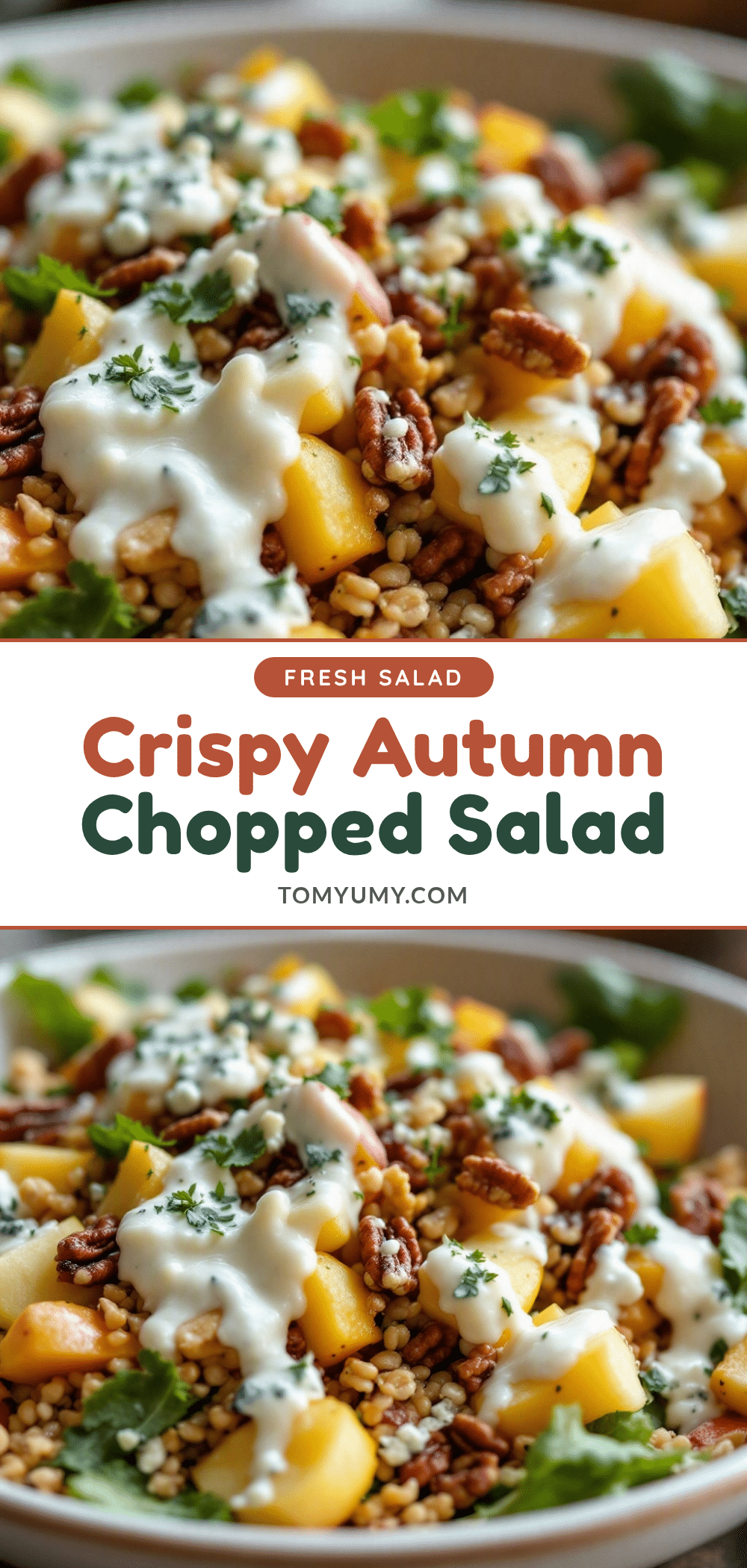 crispy autumn chopped salad with apples recipe