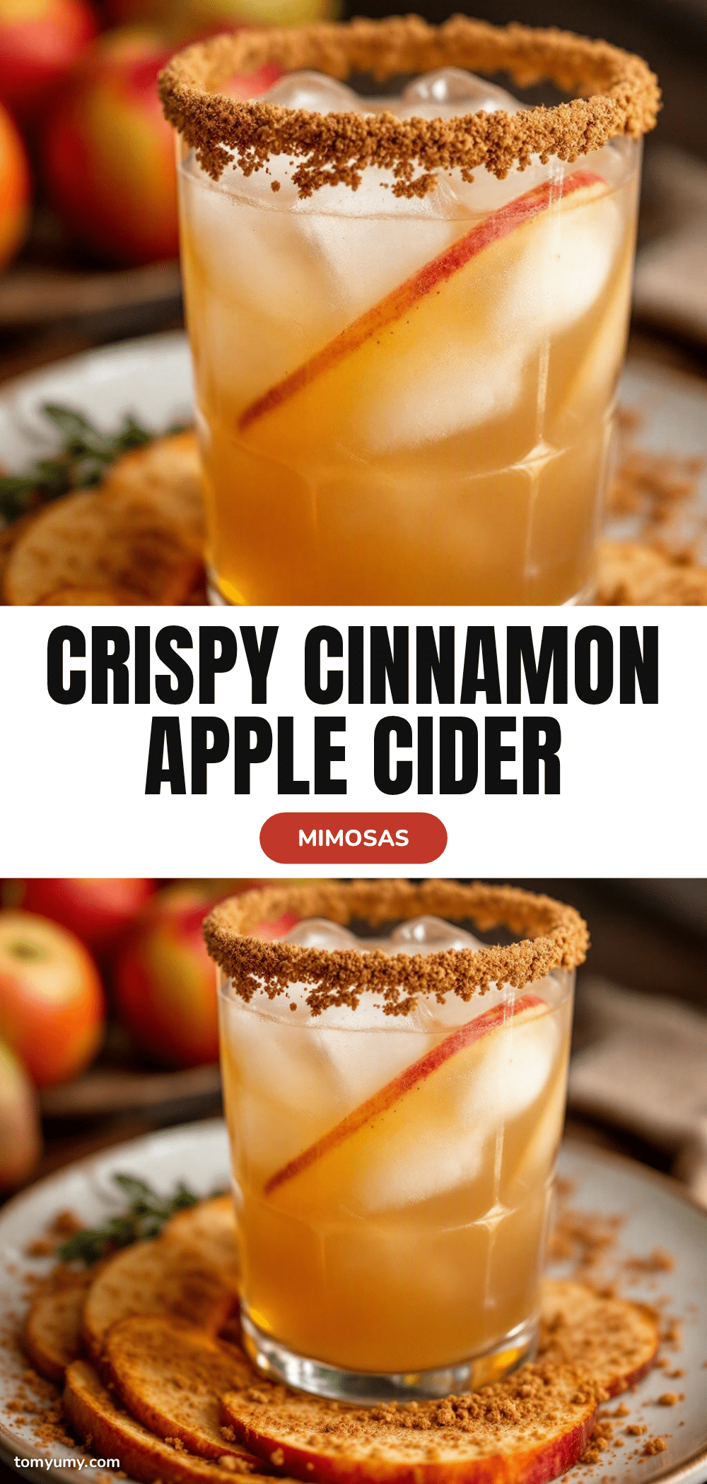 Crispy Cinnamon Apple Cider Mimosas recipe