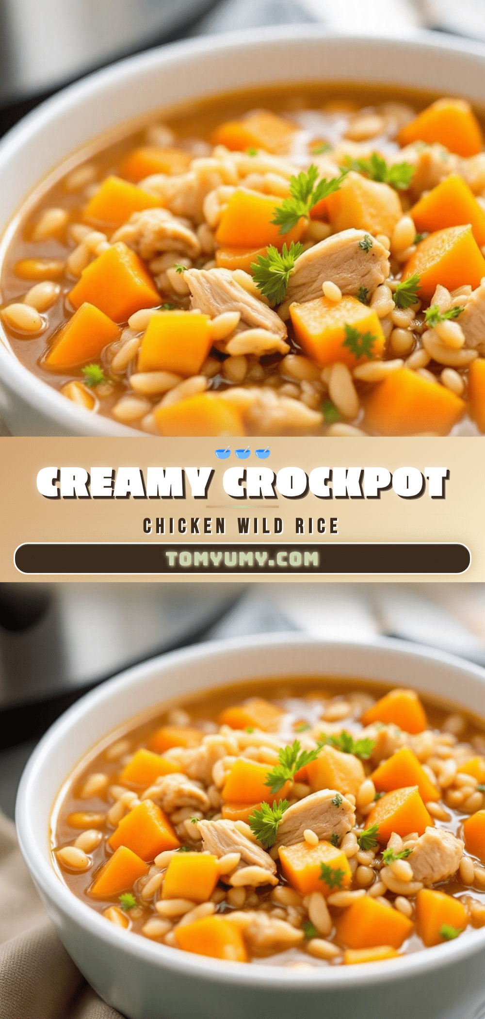 crockpot chicken and wild rice soup recipe