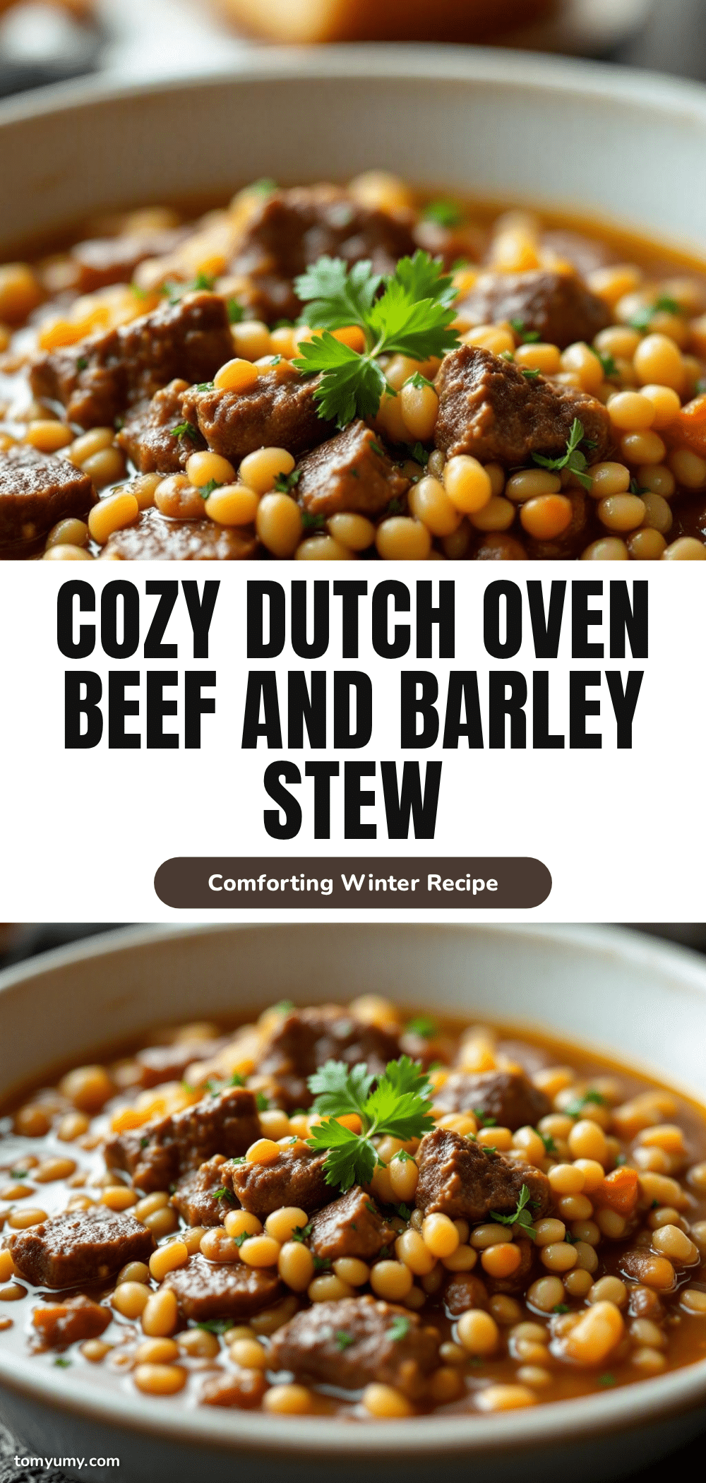 Dutch Oven Beef and Barley Stew recipe