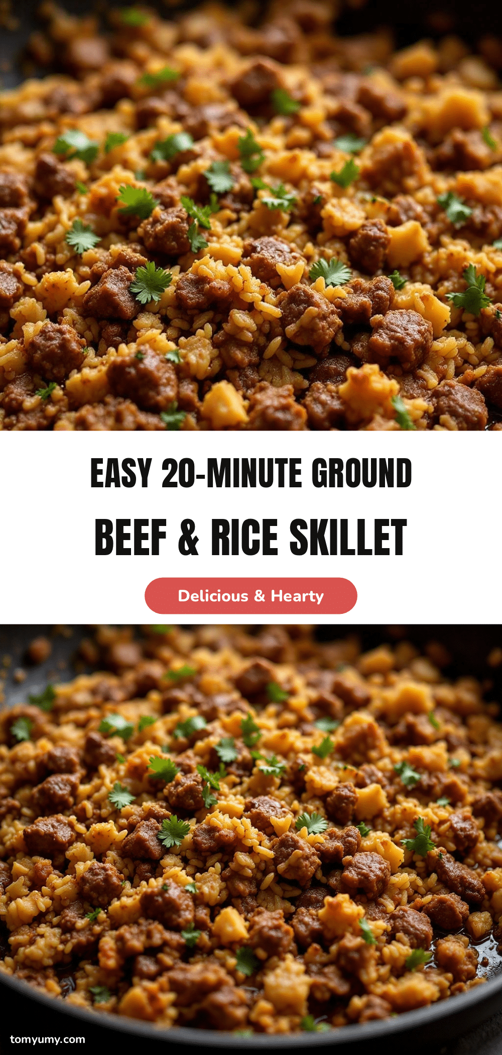 ground beef and rice skillet recipe