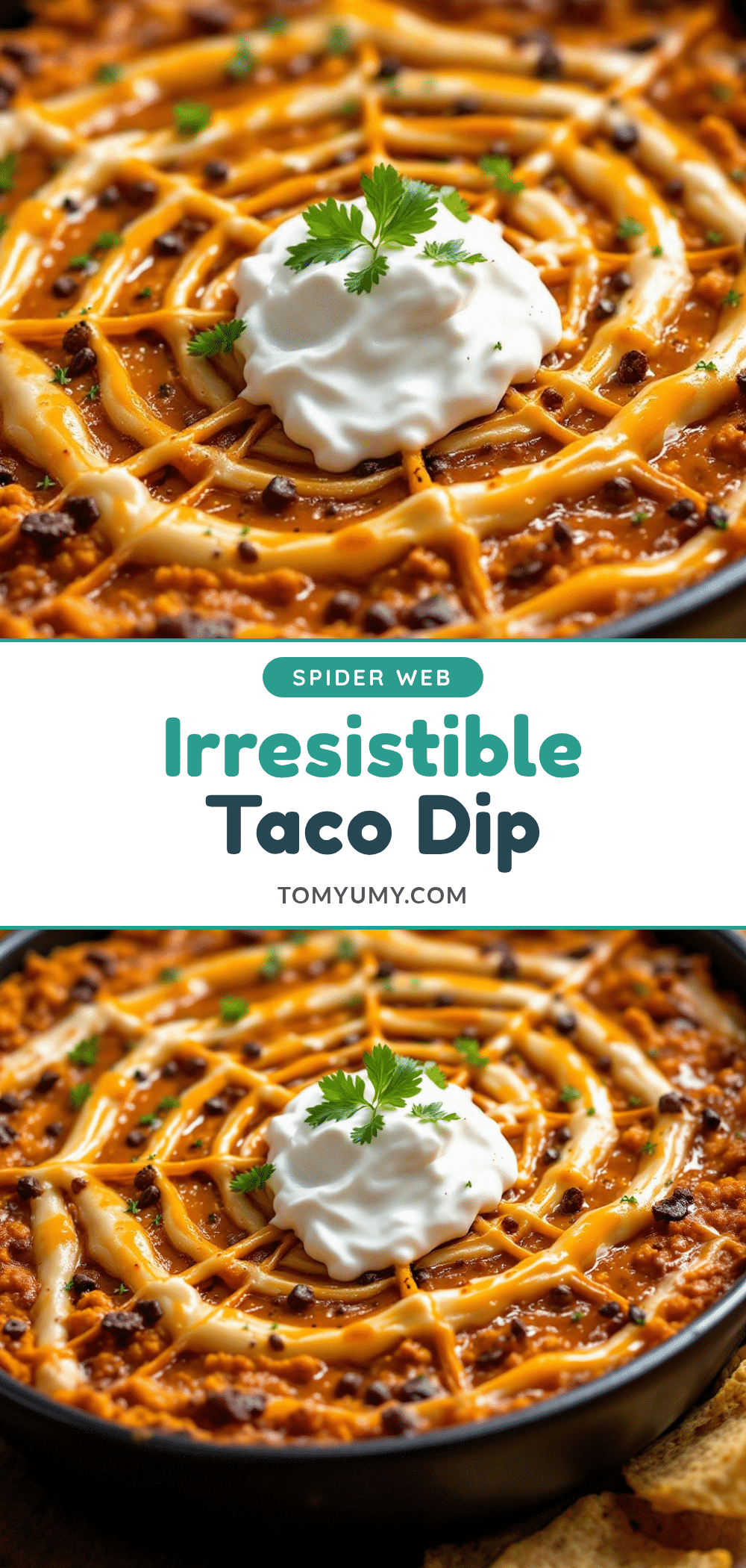 spider web taco dip recipe
